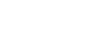 New Zealand Trade Group logo